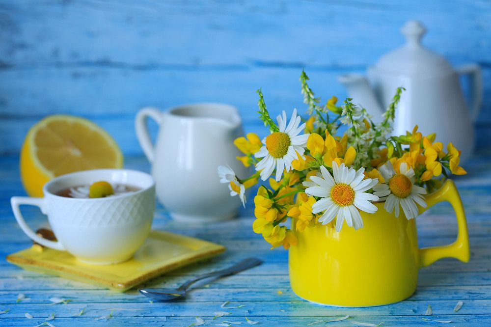 Летнее утро