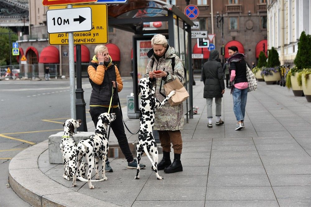 Photograph by Igor Bastrygin