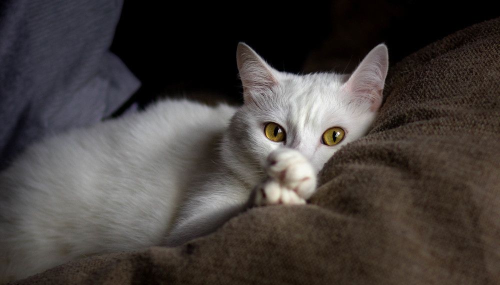 Photograph by Oksana Abramova