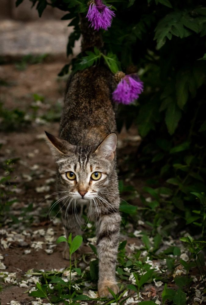 Photograph by Oksana Abramova