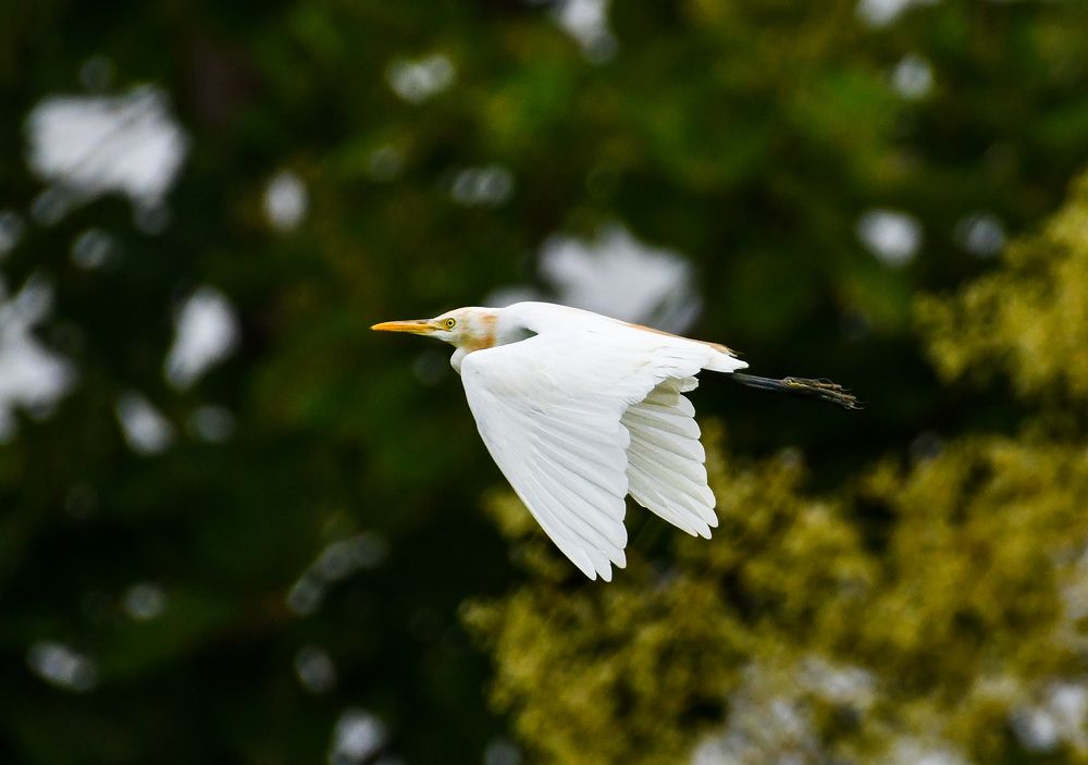 Photograph by Kshrugal Shelke