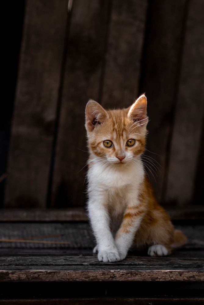 Photograph by Oksana Abramova