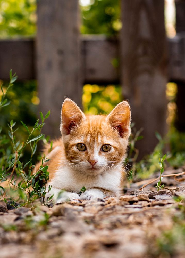 Photograph by Oksana Abramova