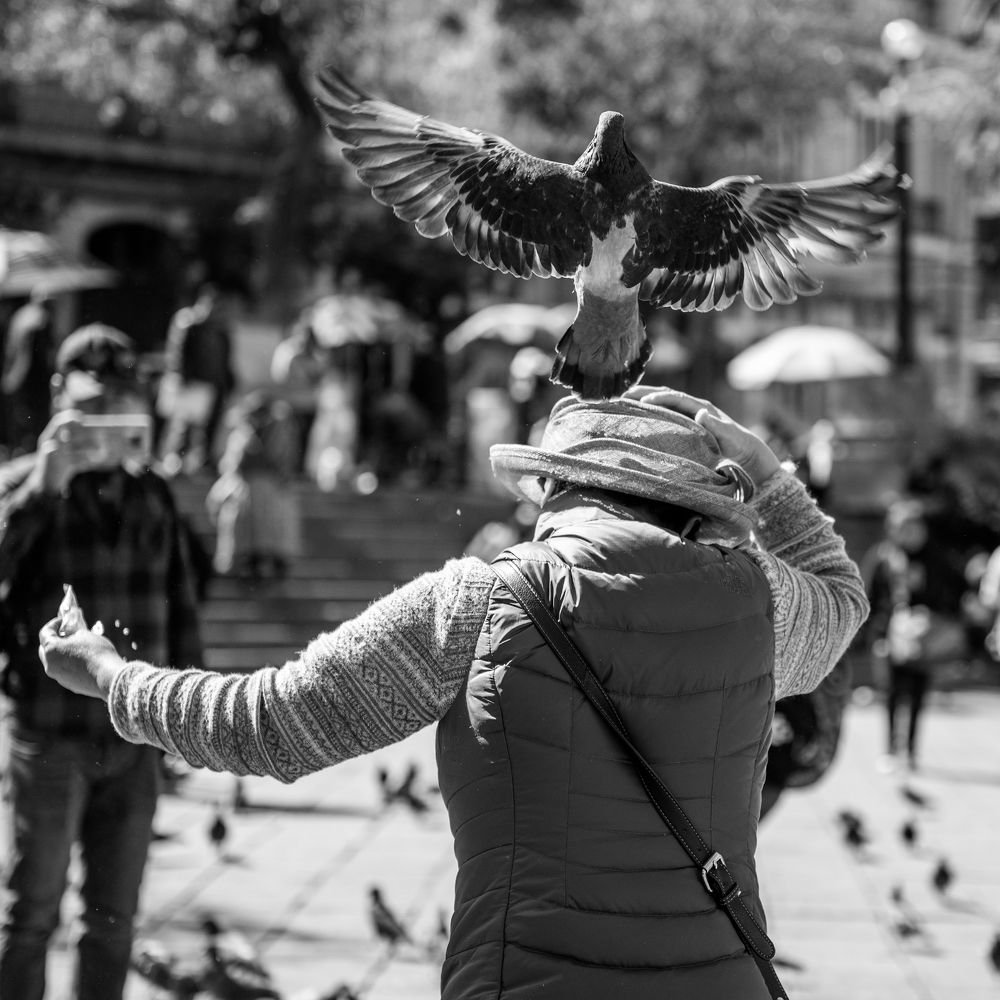 Фотография автора Iris Karina