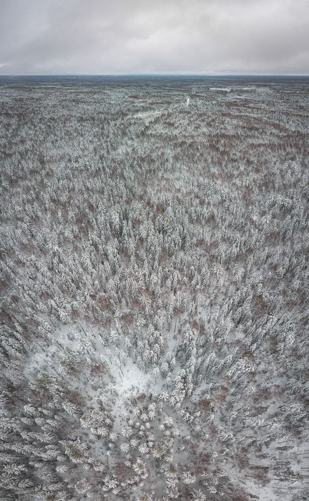 Фотография автора Шуплецов Алексей