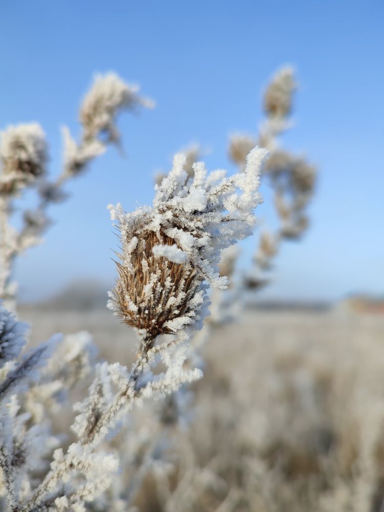 Фотография автора Таня Долгушева