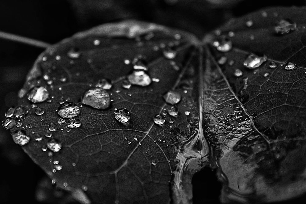 Photograph by Nihar Mane