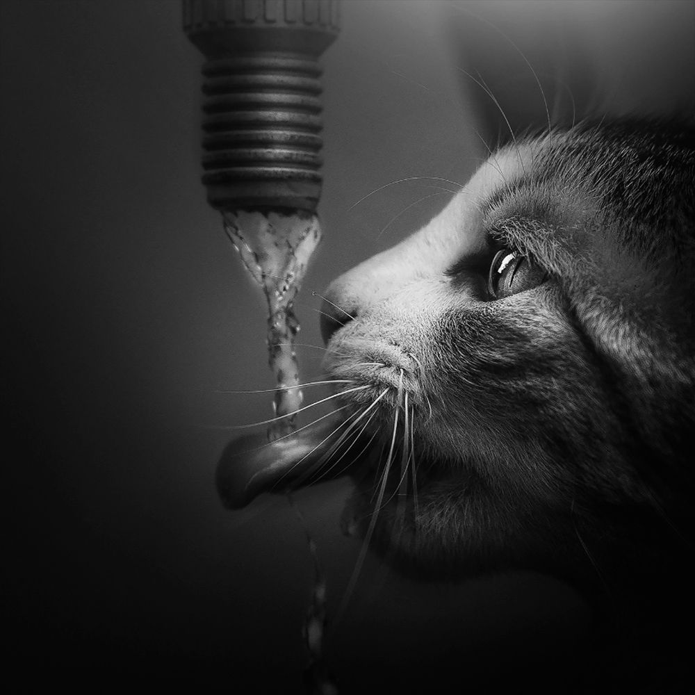 Photograph by Iris Karina