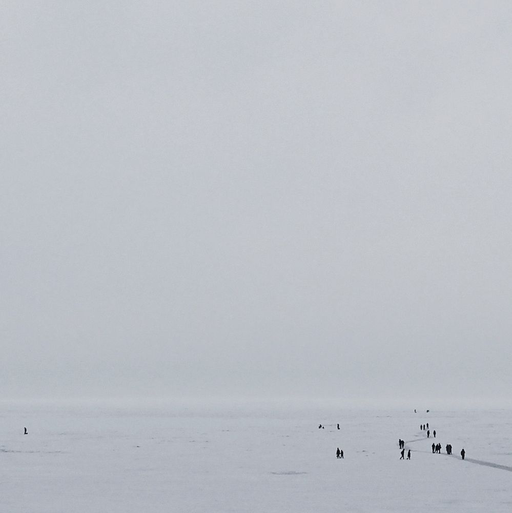 Photo #8657659