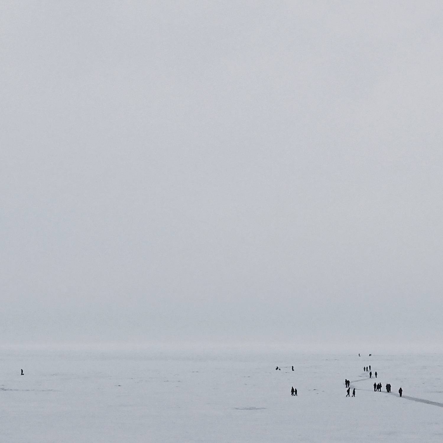 Photo #8657659
