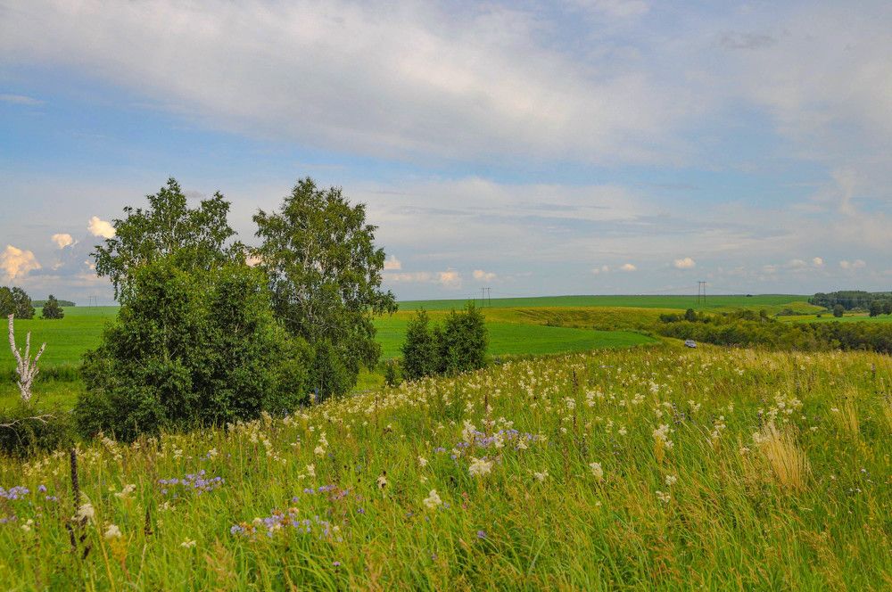 Photograph by Владимир Рандин
