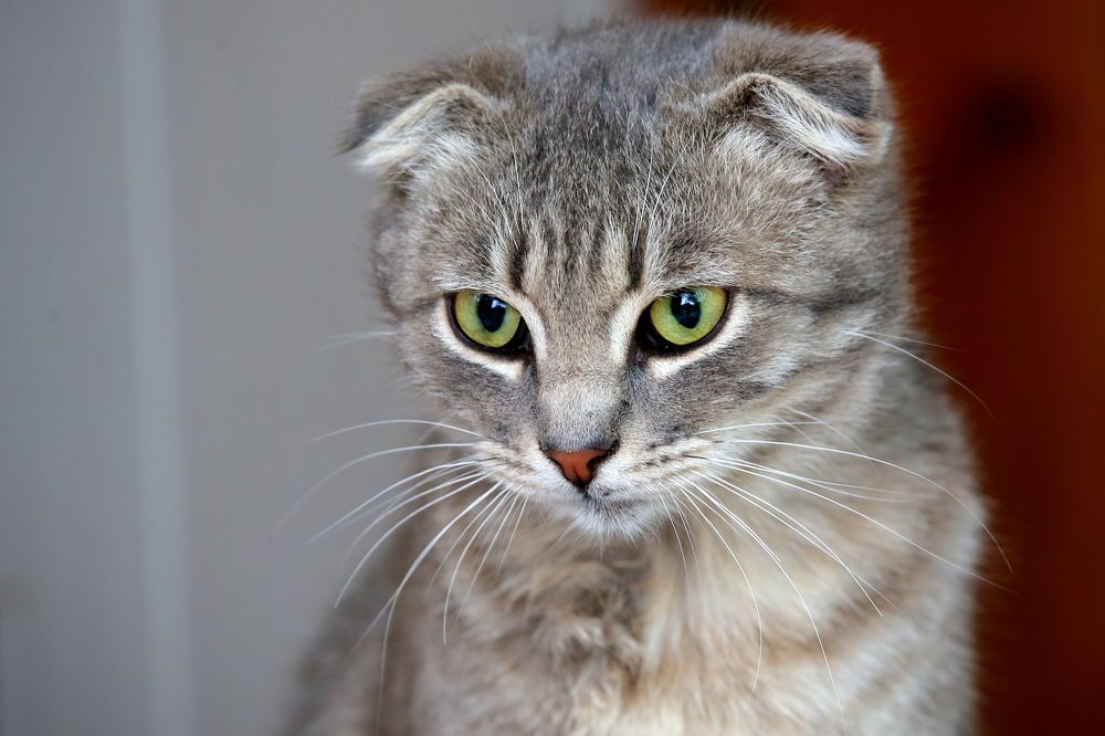 Photograph by Александр Глебов