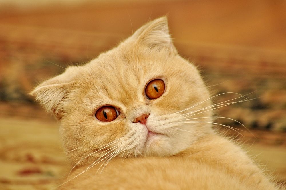 Photograph by Александр Глебов