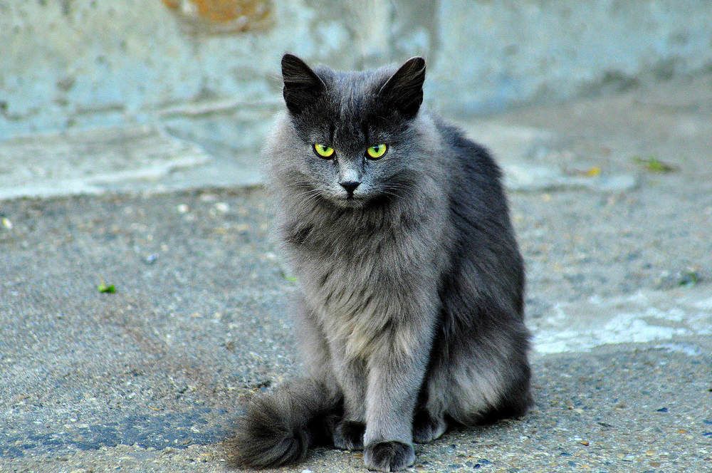 Photograph by Александр Глебов