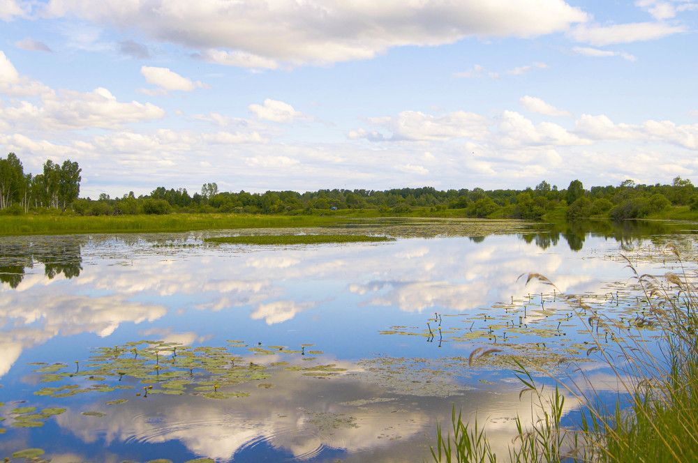Photograph by Владимир Рандин