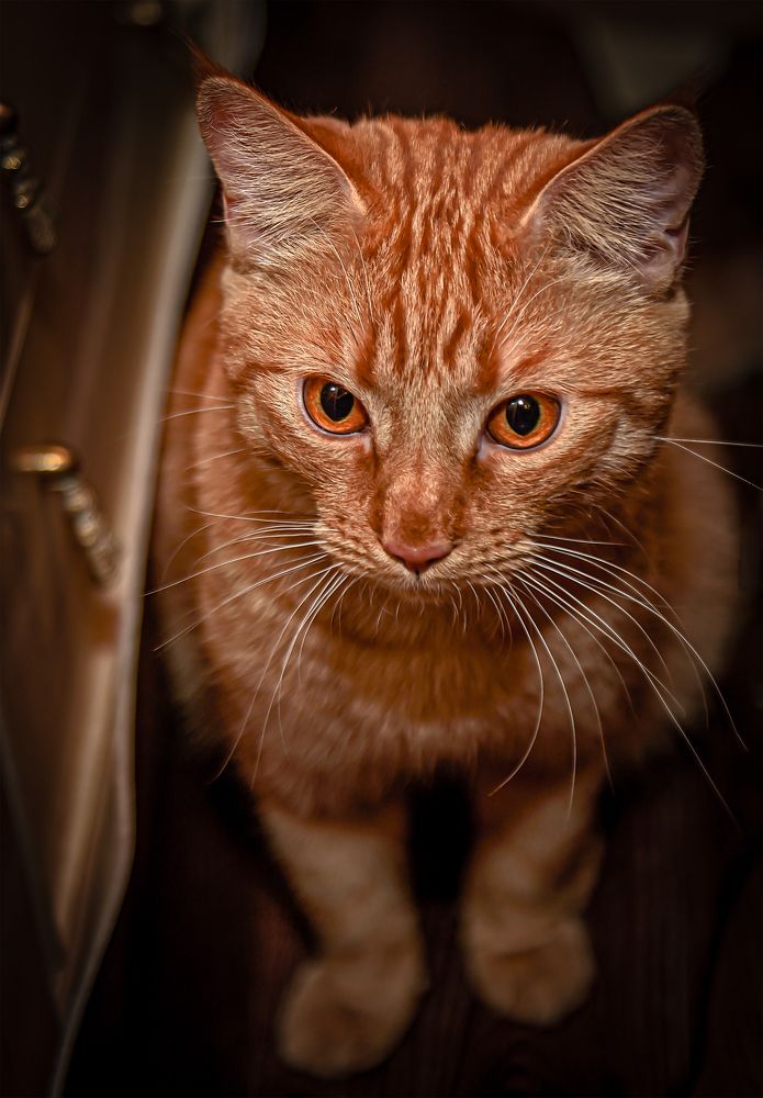 Photograph by Игорь Н. Адамов