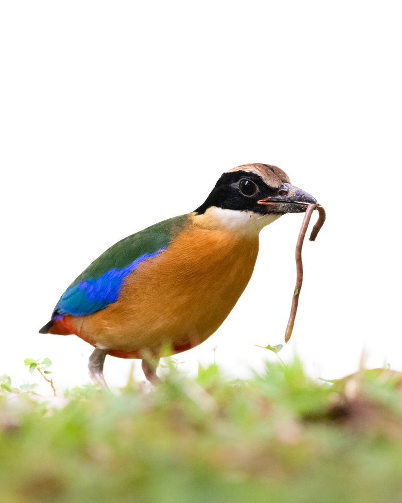 Photograph by Ishaan Shrimali