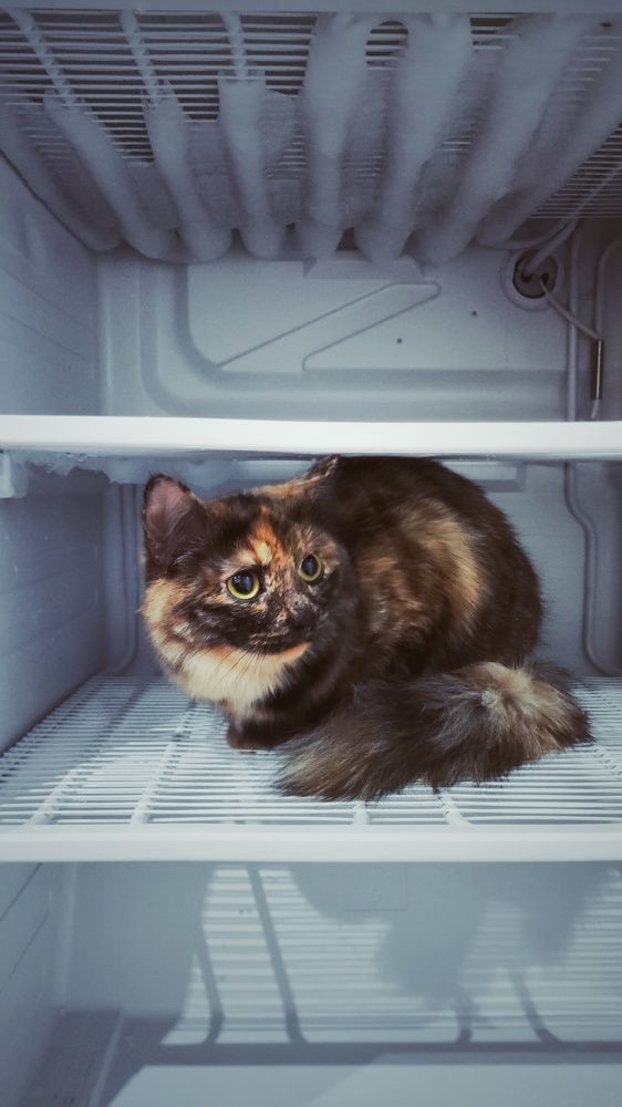 Photograph by Наталья Калюнова