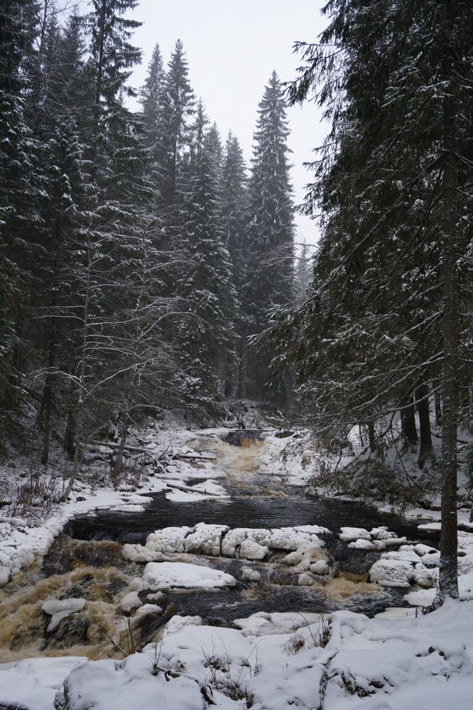 Photograph by Полина Музыченко