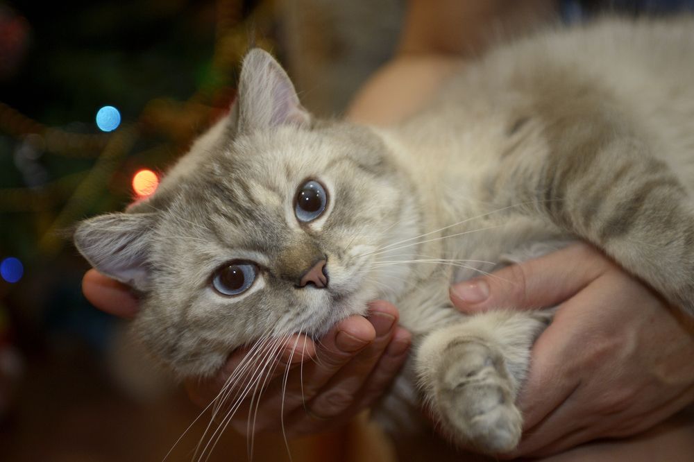 Photograph by Владимир Рандин