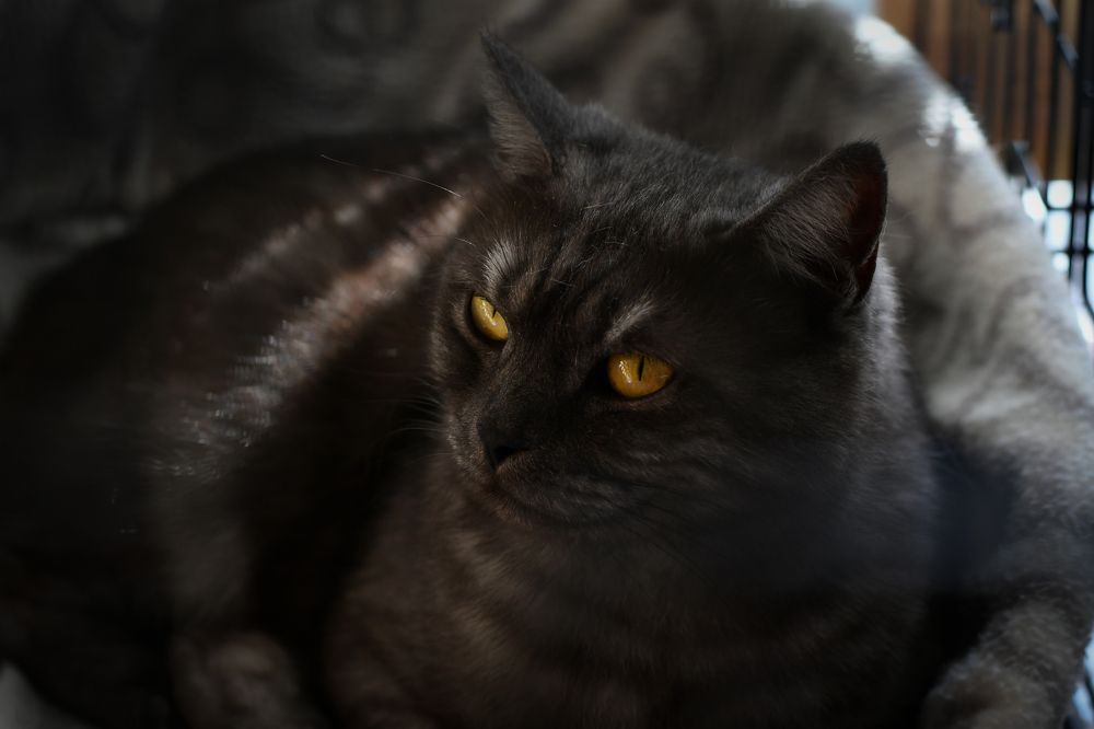 Photograph by Екатерина Свириденко