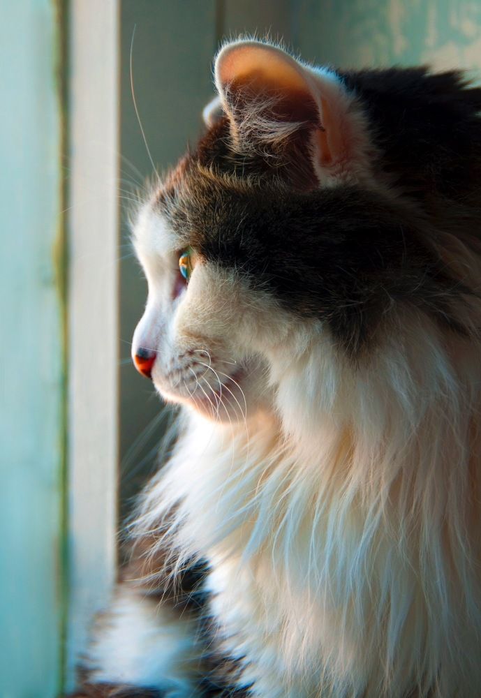 Photograph by Владимир Рандин