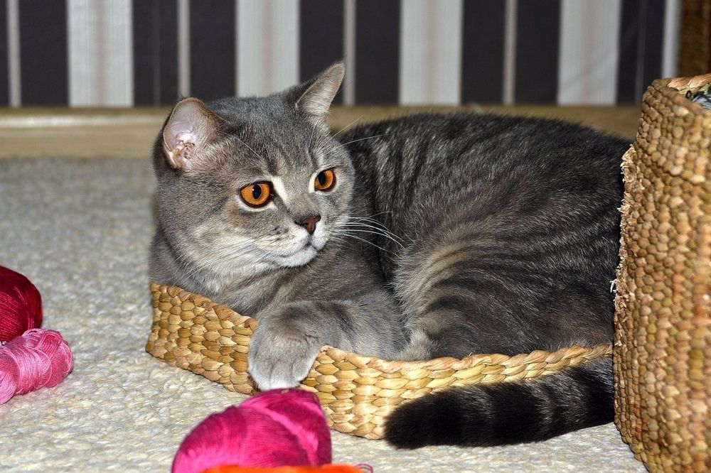 Фотография автора Садыков