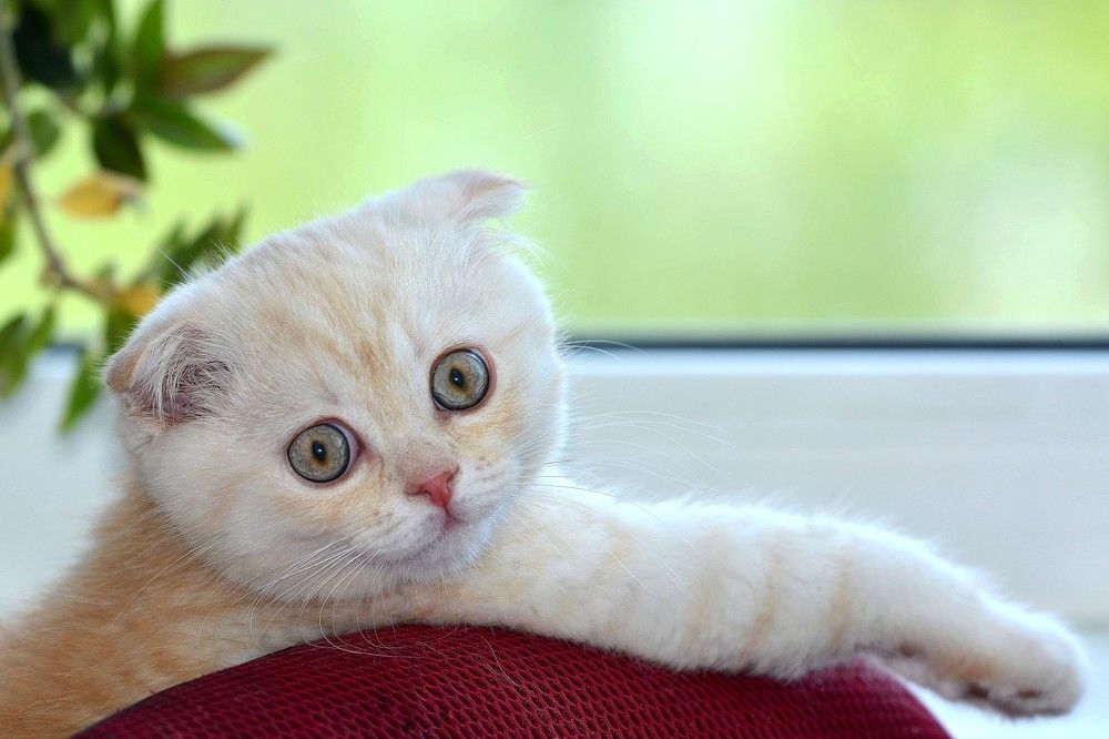 Фотография автора Садыков