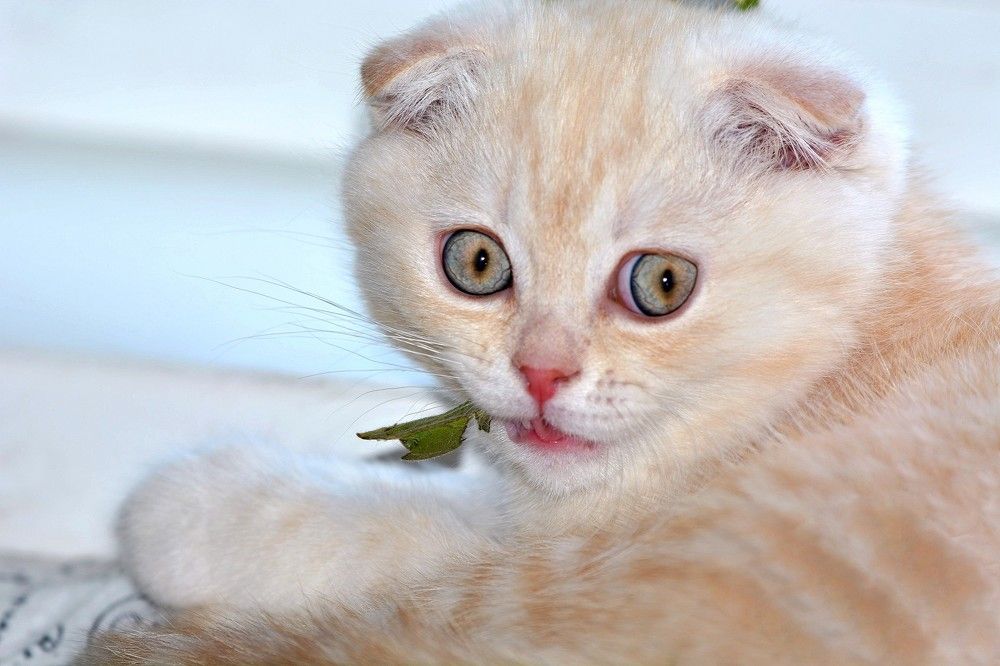 Фотография автора Садыков