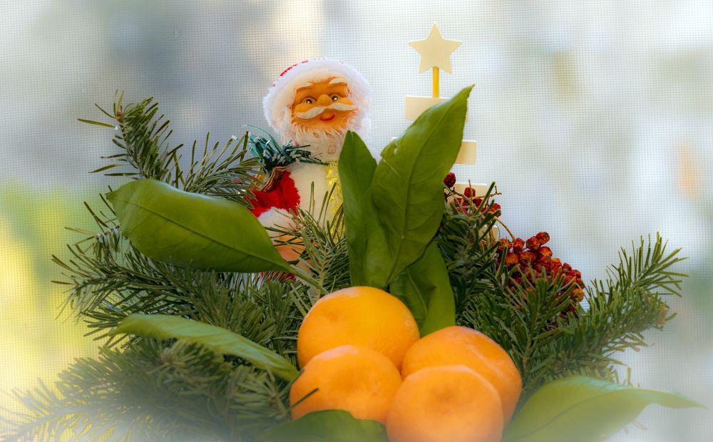 Photograph by Alex Kalpus