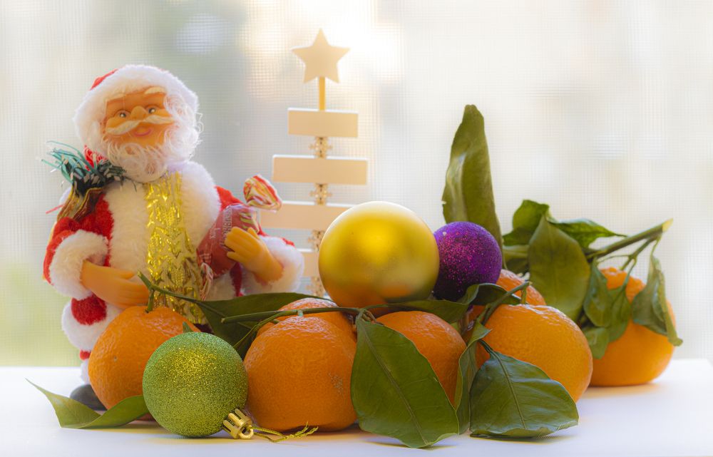 Photograph by Alex Kalpus