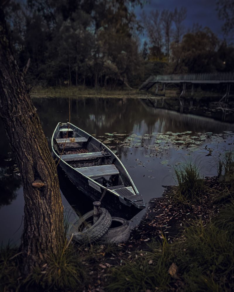 Photograph by Волкова Полина