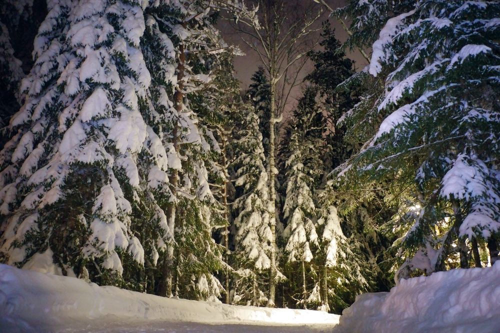 Что за зима  без снега ?!