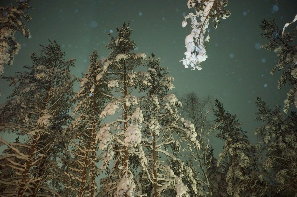 Что за зима  без снега ?!