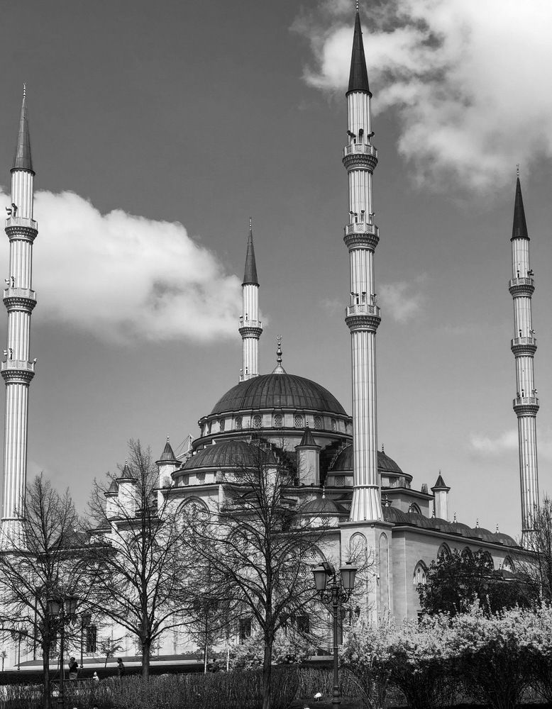 Сердце Чечни