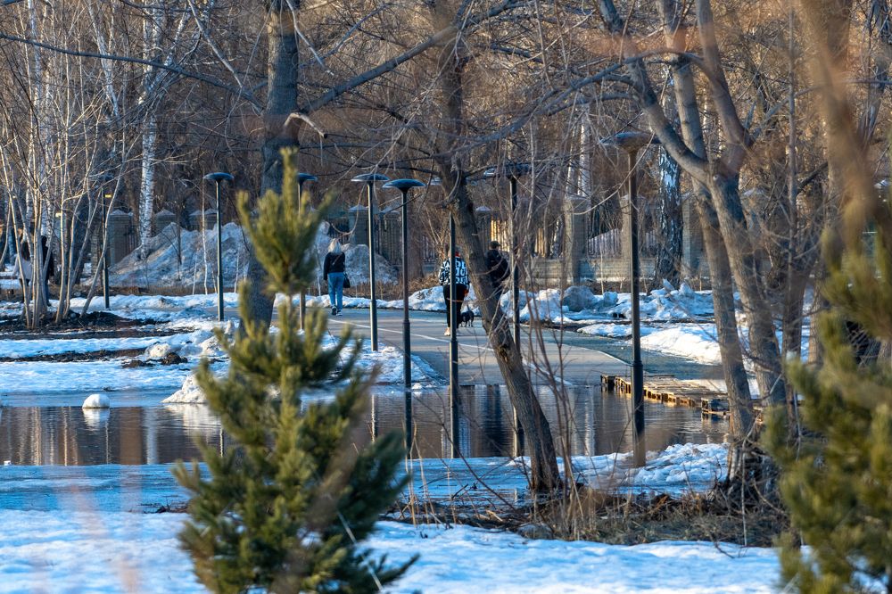 Photograph by Александр Перегудов