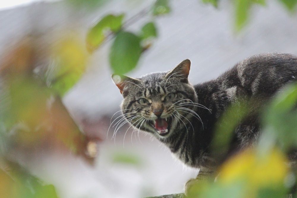 Photograph by Александр