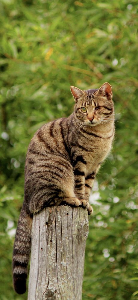 Photograph by Александр