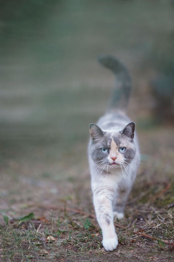 Photograph by Анна Квашневская