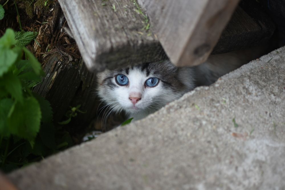 Photograph by Мария Бартош