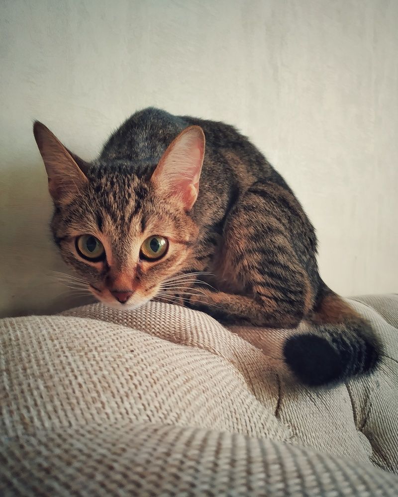 Photograph by Irina Grass