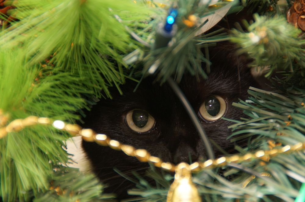 Photograph by Андрей Евтеев