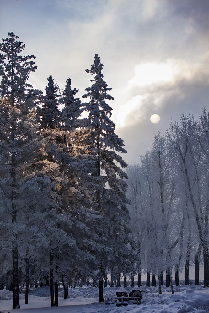 Photograph by Денис Дорошенко