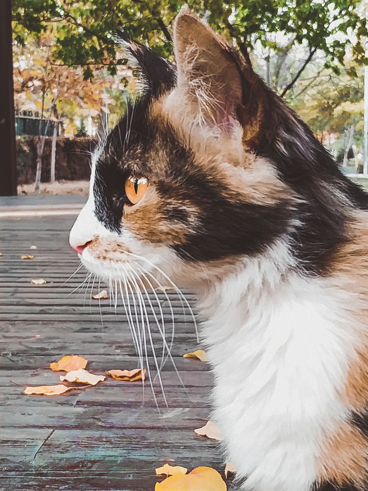 Photograph by Irina Grass