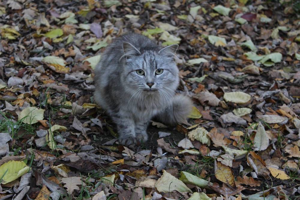 Photograph by Татьяна Артник