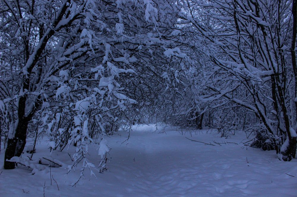 Photograph by Ирина Дмитриенко