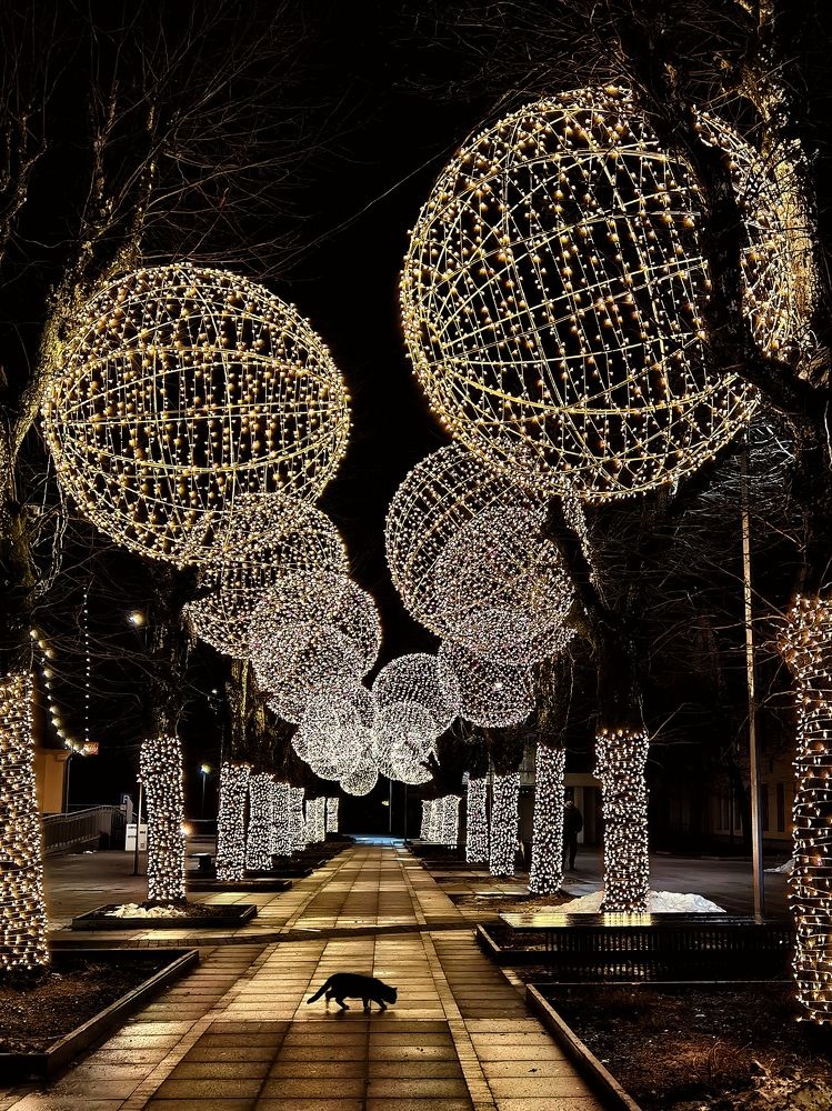 Photograph by Виолетта Юдина