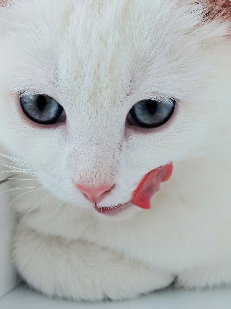 Photograph by Виолетта Юдина