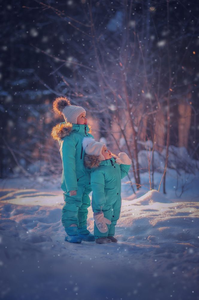 Фотография автора Алексей Денисов