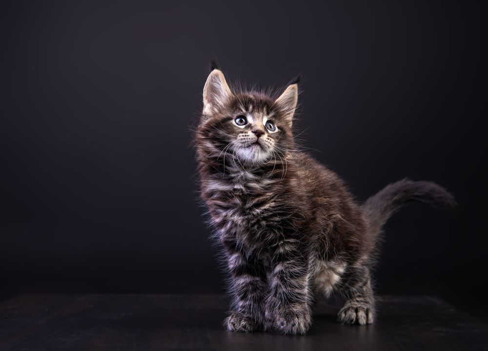 Photograph by наталья залогина